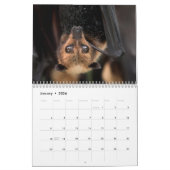 Australische Flying Fox Bat Calendar - 3 maten Kalender (Jan 2026)