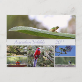 Australische fotografie van wilde dieren feestdagenkaart