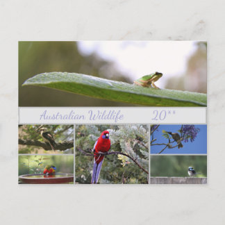 Australische fotografie van wilde dieren feestdagenkaart