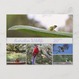 Australische fotografie van wilde dieren feestdagenkaart