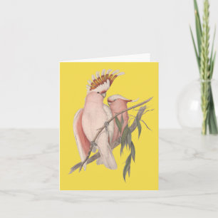 Australische Galah Kaart John Gould