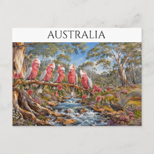 Australische Galah-kaketoes & Liervogelstroom Briefkaart