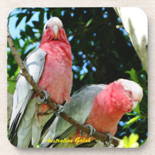 Australische Galah - Roseate Kaketoe Onderzetter