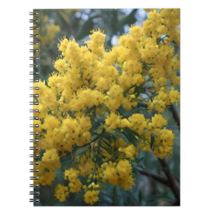Australische Gele Wattle Tree, Notitieboek