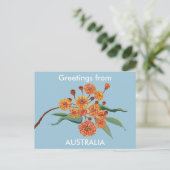 Australische gombloesems briefkaart (Staand voorkant)
