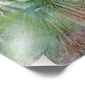 Australische grasboom foto afdruk (Hoek)