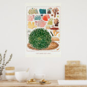 Australische  Great Barrier Reef Coral Poster (Keuken)