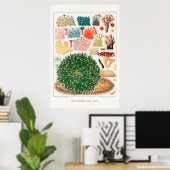 Australische  Great Barrier Reef Coral Poster (Thuiskantoor)