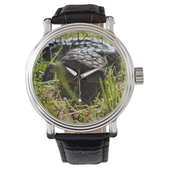 Australische Hagedis (Stumpy)    Horloge (Voorkant)