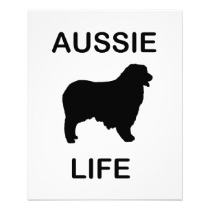 australische herder aussie life foto afdruk