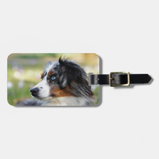 australische herder bagagelabel (Voorkant horizontaal)