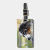 australische herder bagagelabel (Voorkant verticaal)