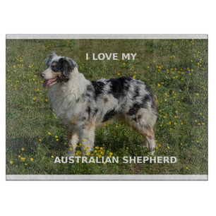 Australische herder blue merle liefde met foto snijplank