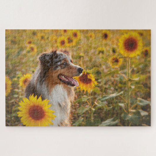 Australische herder en zonnebloemen legpuzzel (Horizontaal)