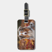 Australische herder in herfst laat Herfst inspirer Bagagelabel (Voorkant verticaal)