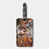 Australische herder in herfst laat Herfst inspirer Bagagelabel (Achterkant verticaal)