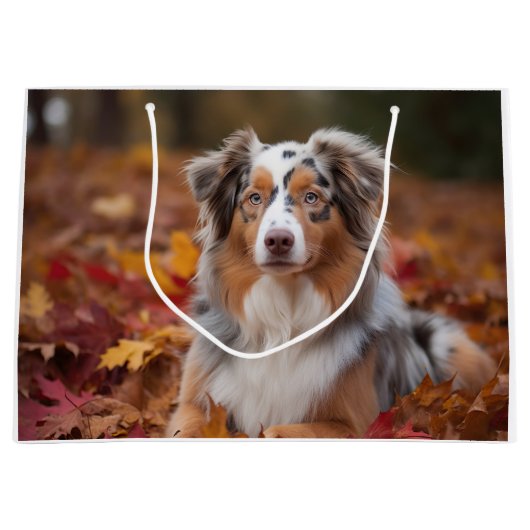 Australische herder in herfst laat Herfst inspirer Groot Cadeauzakje (Voorkant)