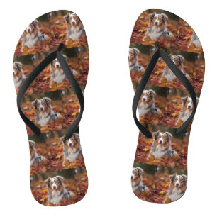 Australische herder in herfst laat Herfst inspirer Teenslippers