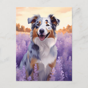 Australische herder in Lavender veld Briefkaart