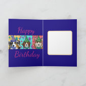 Australische Herder  Kaart (Binnen)