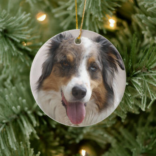 Australische herder Merle Keramisch Ornament