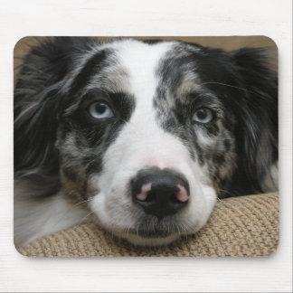 Australische herder Mousepad Muismat