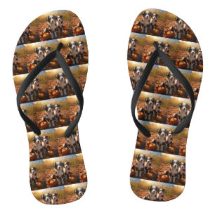 Australische Herder Puppy Herfst Delight Pompoen Teenslippers