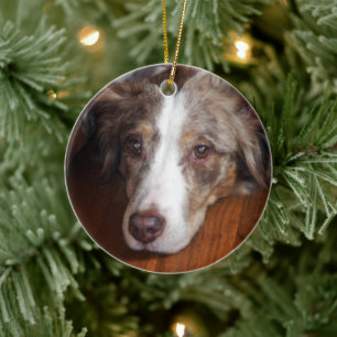 australische herder red merle plat leggen keramisch ornament