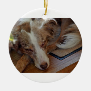 Australische herder rode merle slapend keramisch ornament