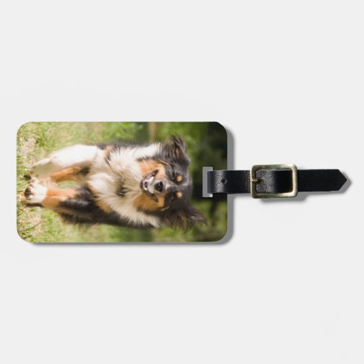 Australische herder speelt met bal bagagelabel (Voorkant horizontaal)