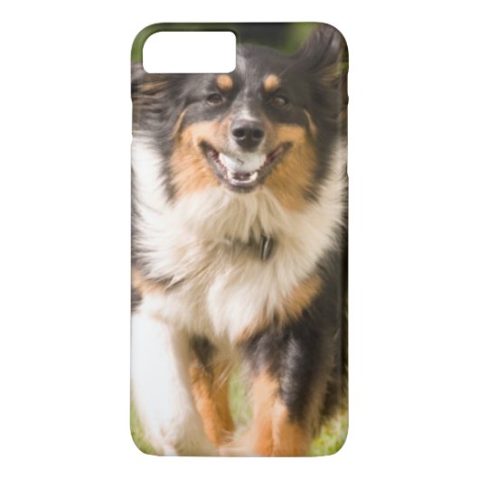 Australische herder speelt met bal Case-Mate iPhone case (Achterkant)