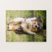 Australische herder speelt met bal legpuzzel (Horizontaal)