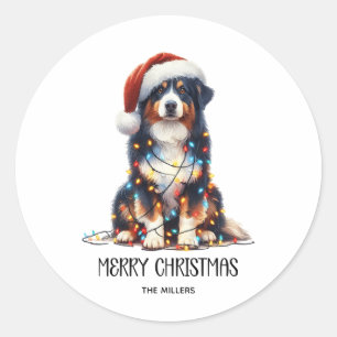 Australische herder verpakt in kerstlicht ronde sticker