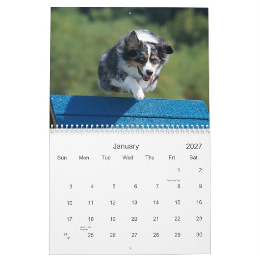 Australische herderbehendigheid 18 maanden Wall Ag Kalender (Jan 2027)