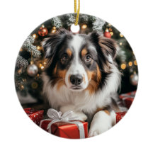 Australische herderkerst