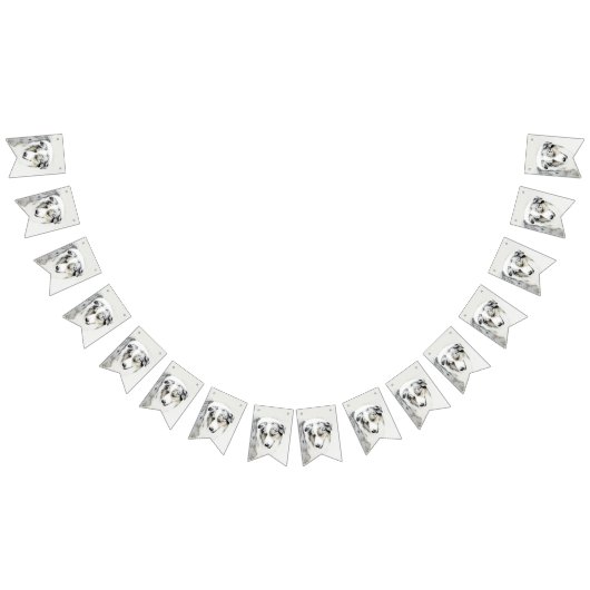 Australische herderschilderkunst - Oorspronkelijke Vlaggetjes (Alle)