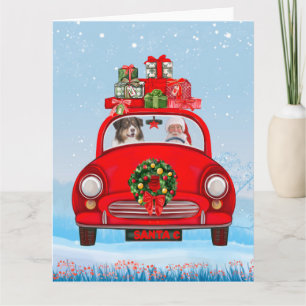 Australische herdershond in auto met kerstman kaart
