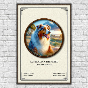 Australische Herdershond Zoologie Serie Poster