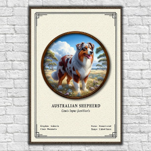Australische Herdershond Zoologie Serie Poster