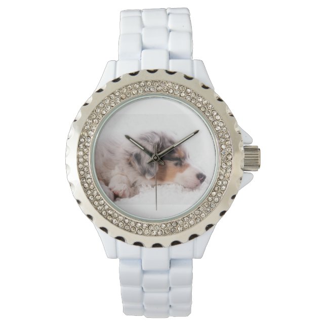 Australische herderspuppy horloge (Voorkant)