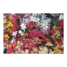 Australische inheemse bloemen