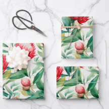 Australische inheemse Protea bloem