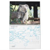 Australische kalender 2009 (Feb 2026)