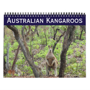 Australische kangoeroes 2027 kalender