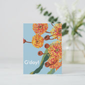 Australische kauwbloesems briefkaart (Staand voorkant)