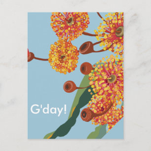 Australische kauwbloesems briefkaart