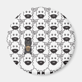 Australische Kelaart in de schapen Magneet