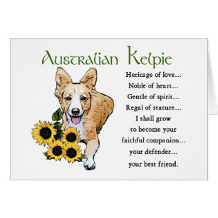 Australische Kelpie Art Gifts