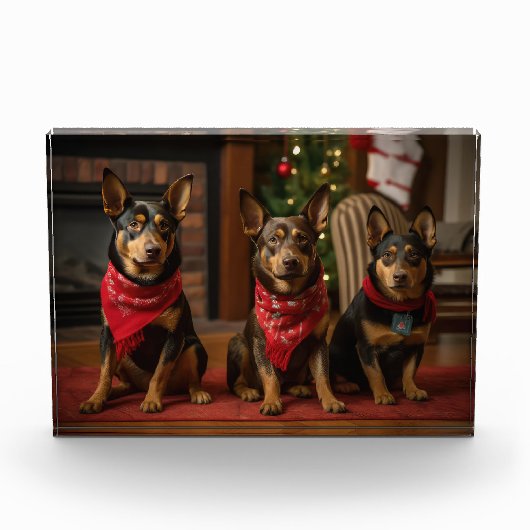 Australische Kelpie bij de open haard Kerstmis Fotoblokken (Voorkant)