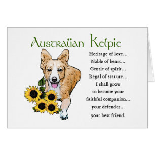 Australische Kelpie Gifts